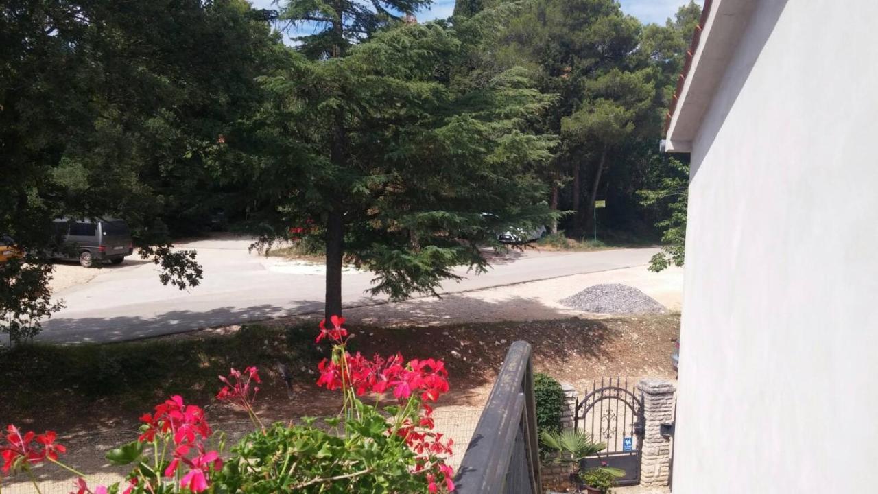 Kaiserwald Appartement *